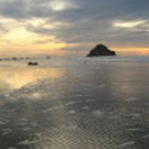 Meet your Posher, Suzanne